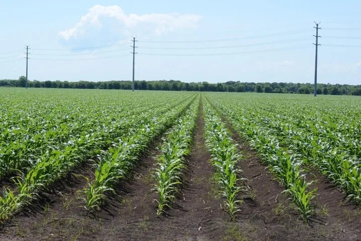 1090 Ac Wharton Co featured image