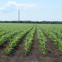 1090 Ac Wharton Co