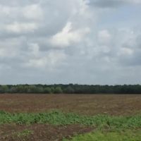 1090 Ac Wharton Co images 3