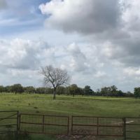1090 Ac Wharton Co images 4