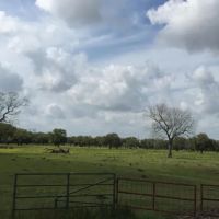 1090 Ac Wharton Co images 5