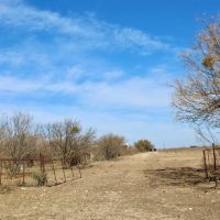 71 - ACRES IN BRADY images 5