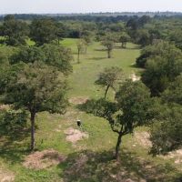 48 Acres Mixed Use along FM 535 images 4