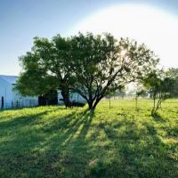 Land for Sale in Central Texas images 5