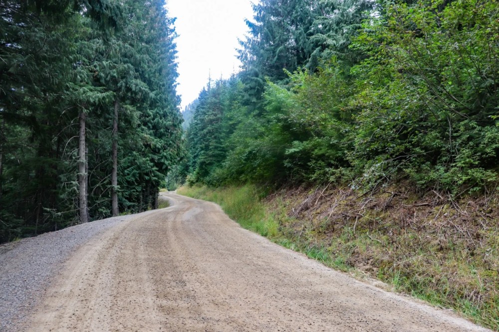 St Joe River Timberland - Price Reduced featured image