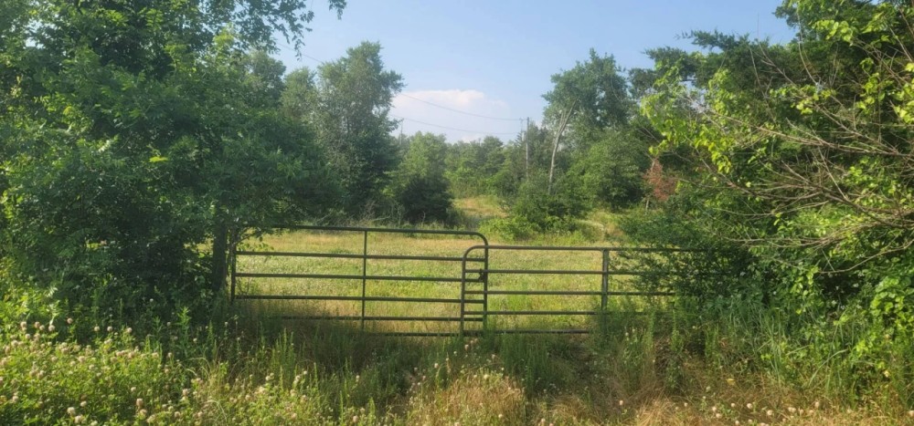 COUGAR RIDGE RANCH - SUPREME HUNTING LAND - NEW PRICE featured image