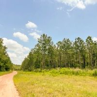 24 Acres CR 1425 T-8