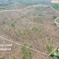 191 Acres in Franklin County Virginia