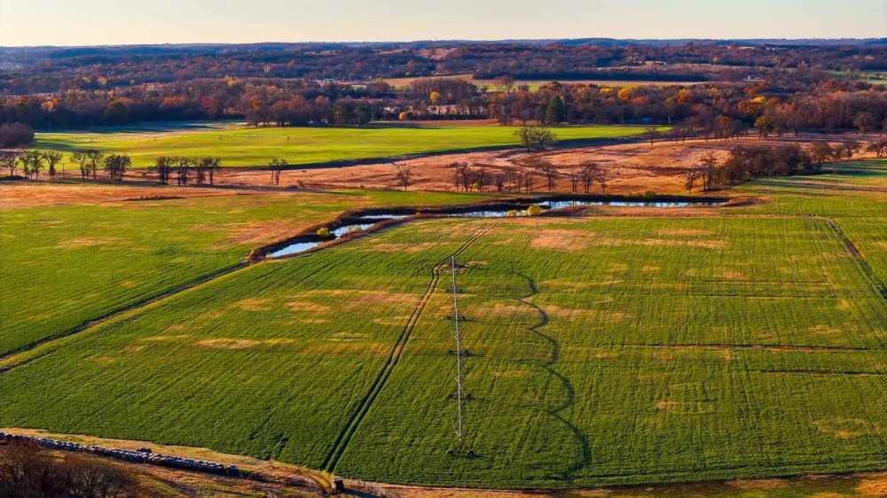 Davis Farm featured image