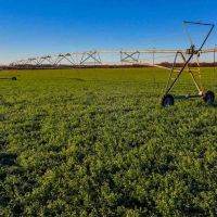 Davis Farm images 5