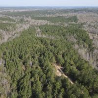 120 - acres in Wilcox County