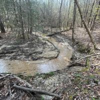 120 - acres in Wilcox County images 3