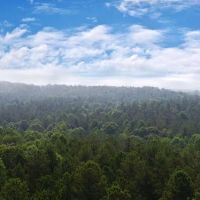 Banks County Georgia Large Acreage Tract