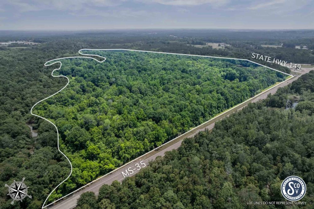 110 - Acres Highway 35 Covington County Mt. Olive MS featured image