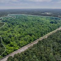 110 - Acres Highway 35 Covington County Mt. Olive MS