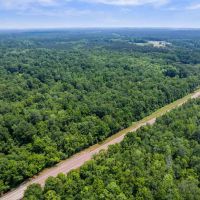 110 - Acres Highway 35 Covington County Mt. Olive MS images 2