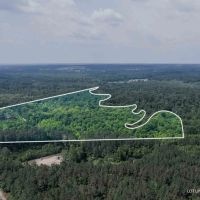 110 - Acres Highway 35 Covington County Mt. Olive MS images 3
