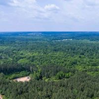 110 - Acres Highway 35 Covington County Mt. Olive MS images 4