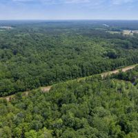 110 - Acres Highway 35 Covington County Mt. Olive MS images 5