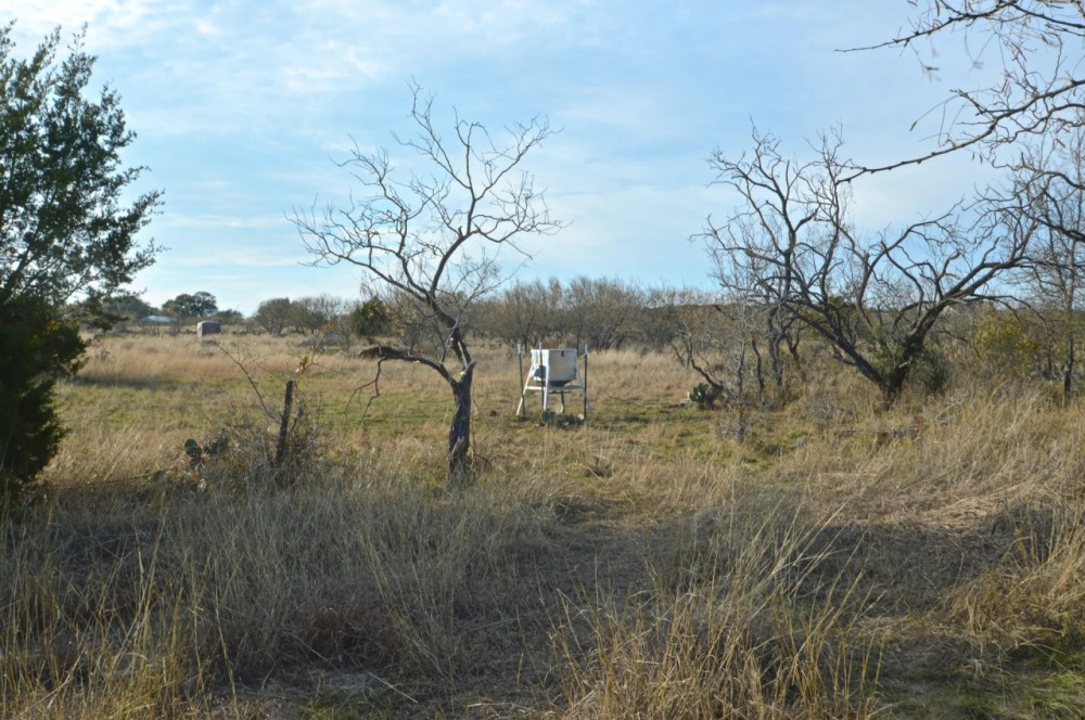 30 Acres featured image