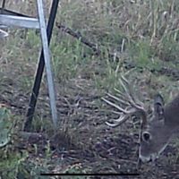 30 Acres images 2