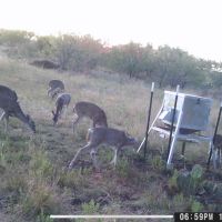 30 Acres images 3