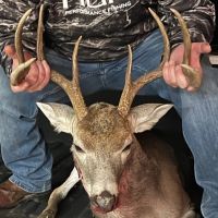 30 Acres images 4