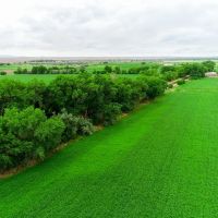 Las Nutrias Farm images 3