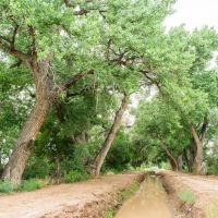 Las Nutrias Farm images 4