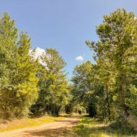 27 Acres T-4 Saron images 2