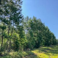 27 Acres T-4 Saron images 3