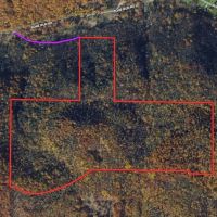120 acres Hunting Land and Recreational Land near South Valley State Forest in Frewsburg NY Bone Run Road images 2