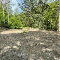 120 acres Hunting Land and Recreational Land near South Valley State Forest in Frewsburg NY Bone Run Road images 5
