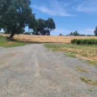 River Road Vineyards images 3
