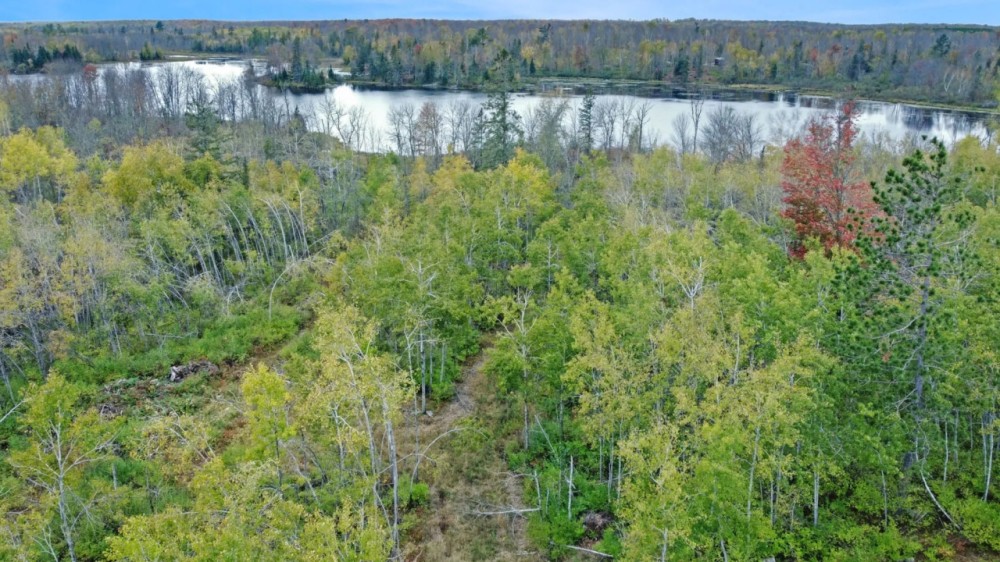 Sawyer County Wisconsin 5.5 Acres For Sale featured image