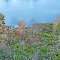 Sawyer County Wisconsin 5.5 Acres For Sale images 5