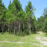 Gordon Chapel West Tract images 3
