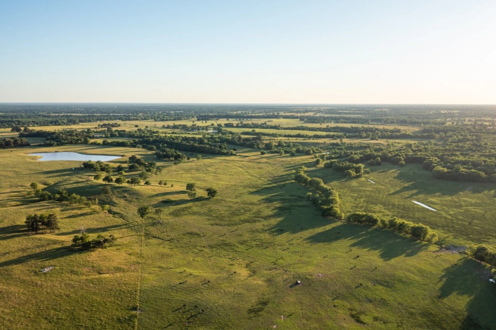 Northeast Texas Ranch For Sale In Bowie County Texas featured image