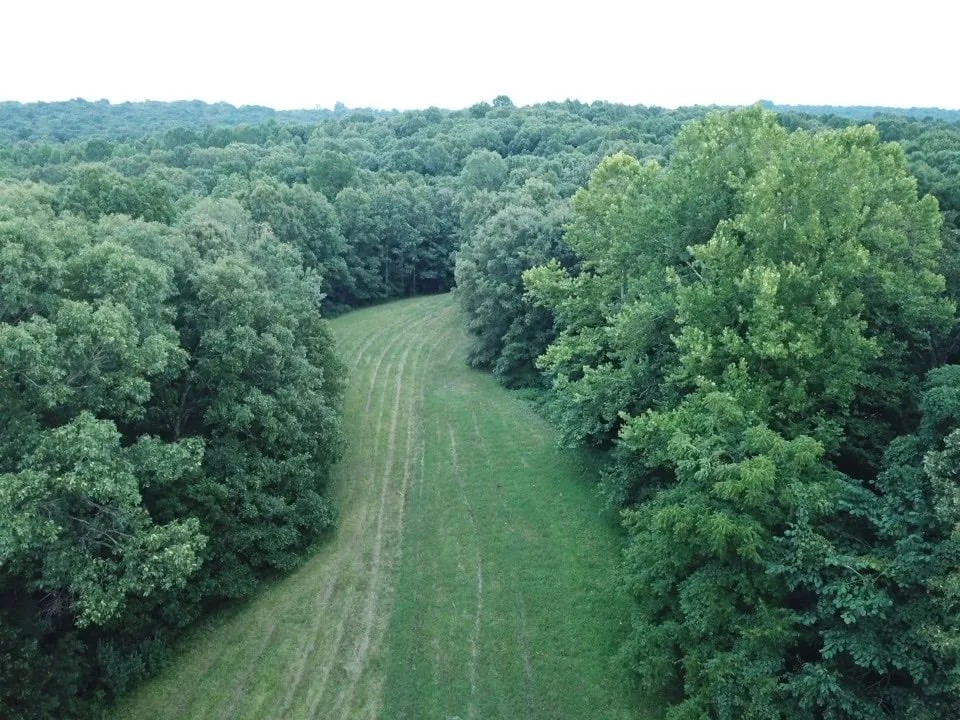 Attention Investors amp Hunters- Southern Illinois Investment amp Hunting Land featured image