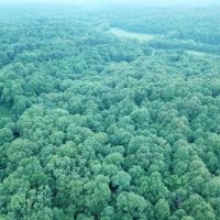 Attention Investors amp Hunters- Southern Illinois Investment amp Hunting Land images 3