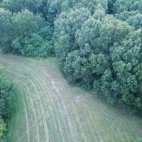 Attention Investors amp Hunters- Southern Illinois Investment amp Hunting Land images 4