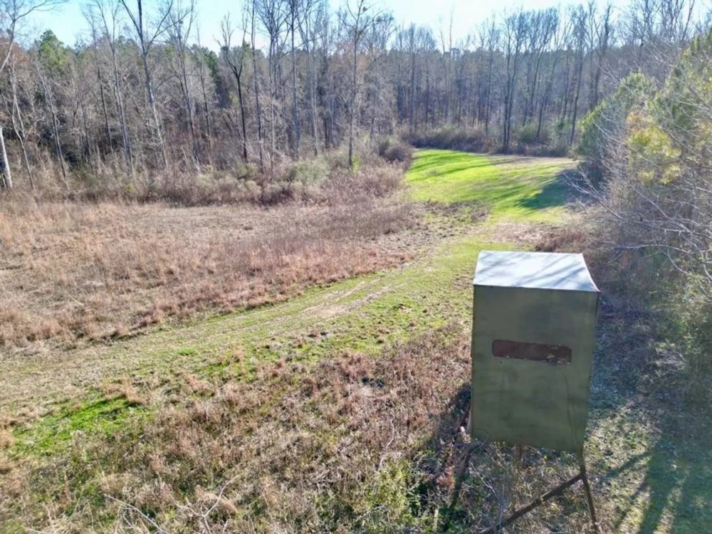 Hunting Land with Pasture in Jefferson County MS featured image