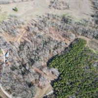 Hunting Land with Pasture in Jefferson County MS images 5