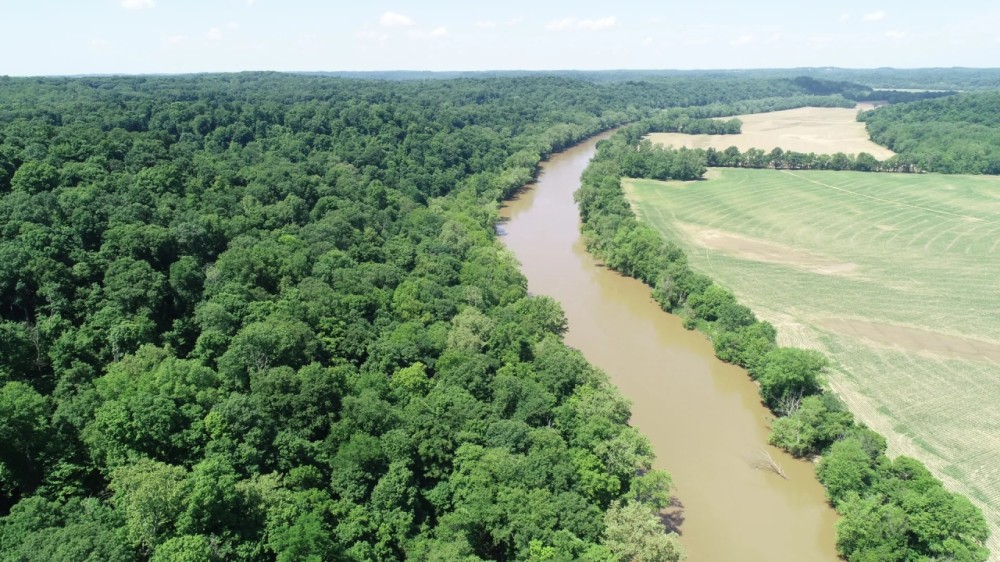 5 Acre Riverfront Property in Martin County featured image