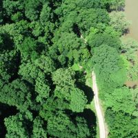 5 Acre Riverfront Property in Martin County images 2