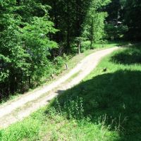 5 Acre Riverfront Property in Martin County images 3