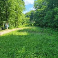 5 Acre Riverfront Property in Martin County images 4