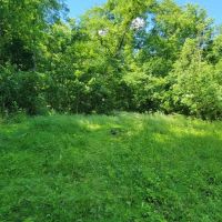 5 Acre Riverfront Property in Martin County images 5