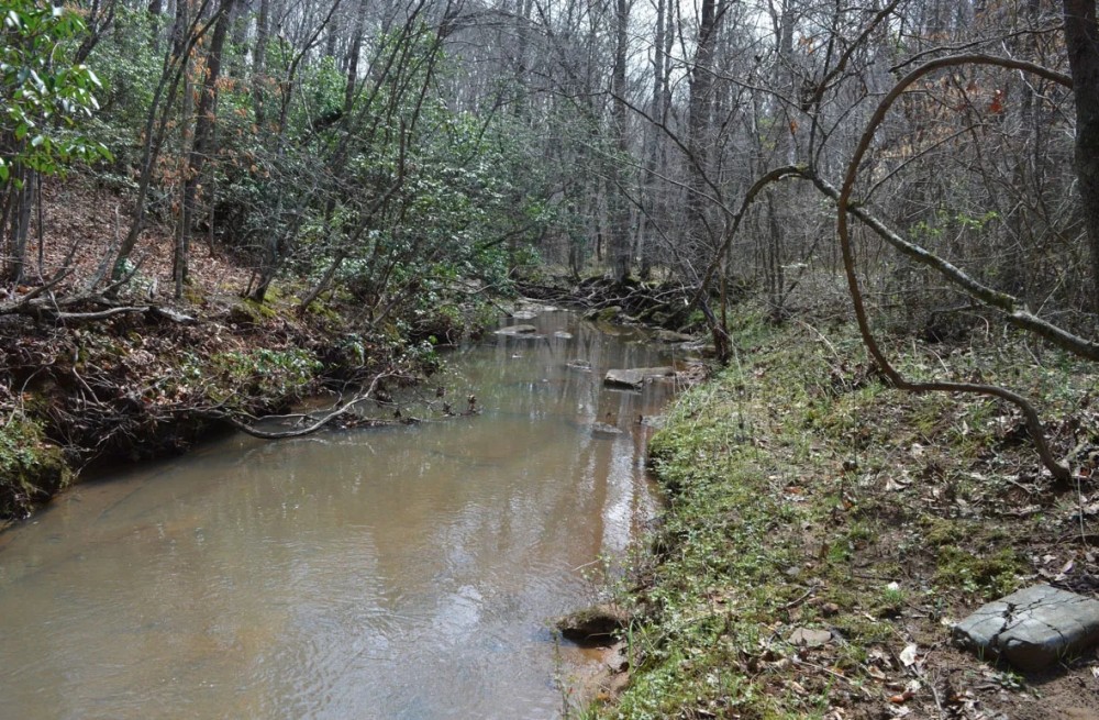 Mini Farm with 1955 Renovated home and Custom Survival Home on 51.45 Acres - featured image