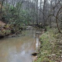 Mini Farm with 1955 Renovated home and Custom Survival Home on 51.45 Acres -